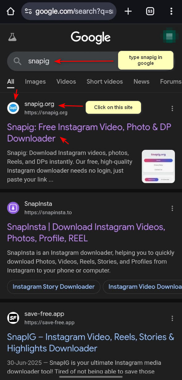 Browser address bar showing snapig.org with SSL security certificate visible