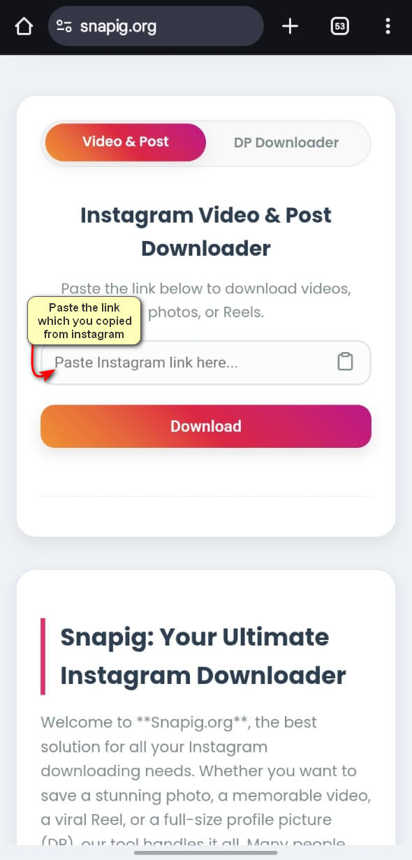 Snapig.org interface showing input field with Instagram Reel URL and Download button